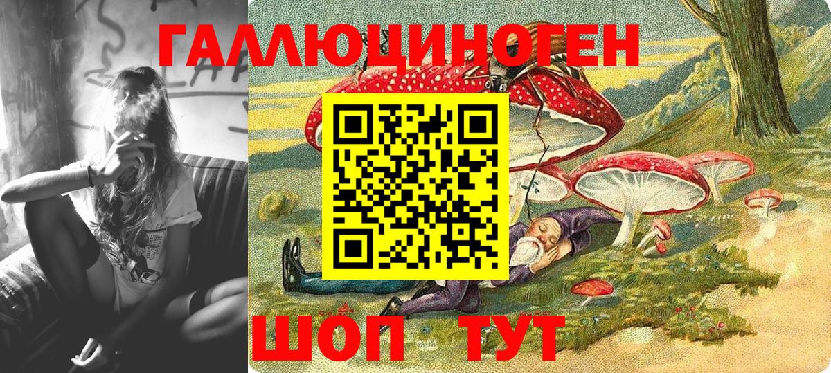 Псилоцибиновые грибы GOLDEN TEACHER Лесной