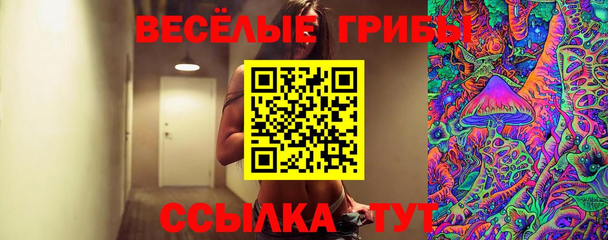 Галлюциногенные грибы Psilocybe  Галлюциногенные грибы Psilocybine cubensis  Вход с VPN  даркнет сайт  Лесной 