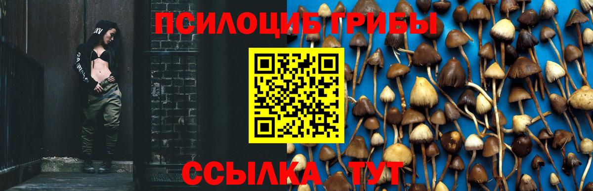 NBOMe  Лесной  COCAIN  APVP СК кристаллы  МЕФ   Вход с VPN  Канабис  ГАШИШ  МДМА 